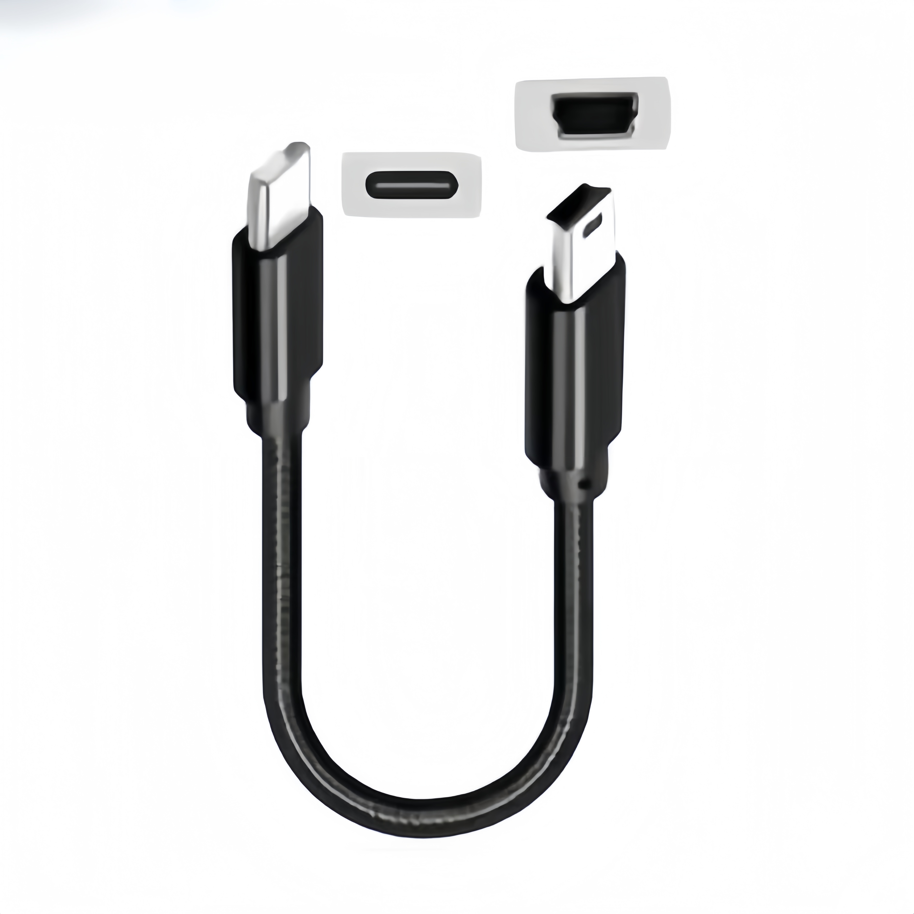 Photograph Mp3 - Short USB C to Mini USB