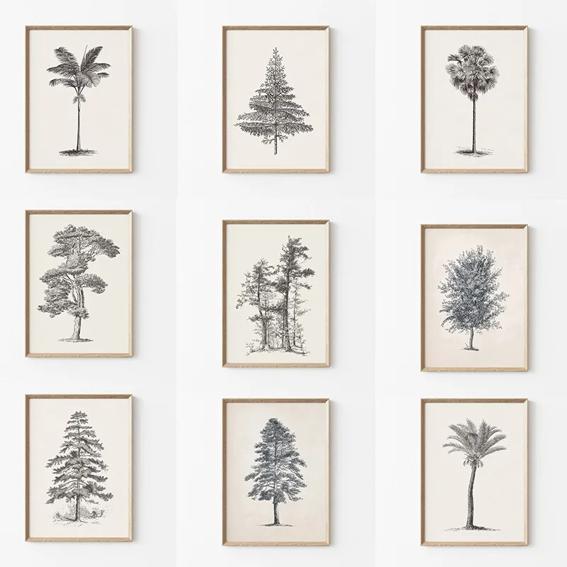 Photography Landscape - Vintage Trees Landscape Sketch Botanical Pine
