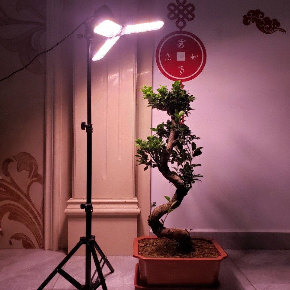 Light Bulb Stand 2M, E27 AC So - Photography Umbrella Lights avis et prix