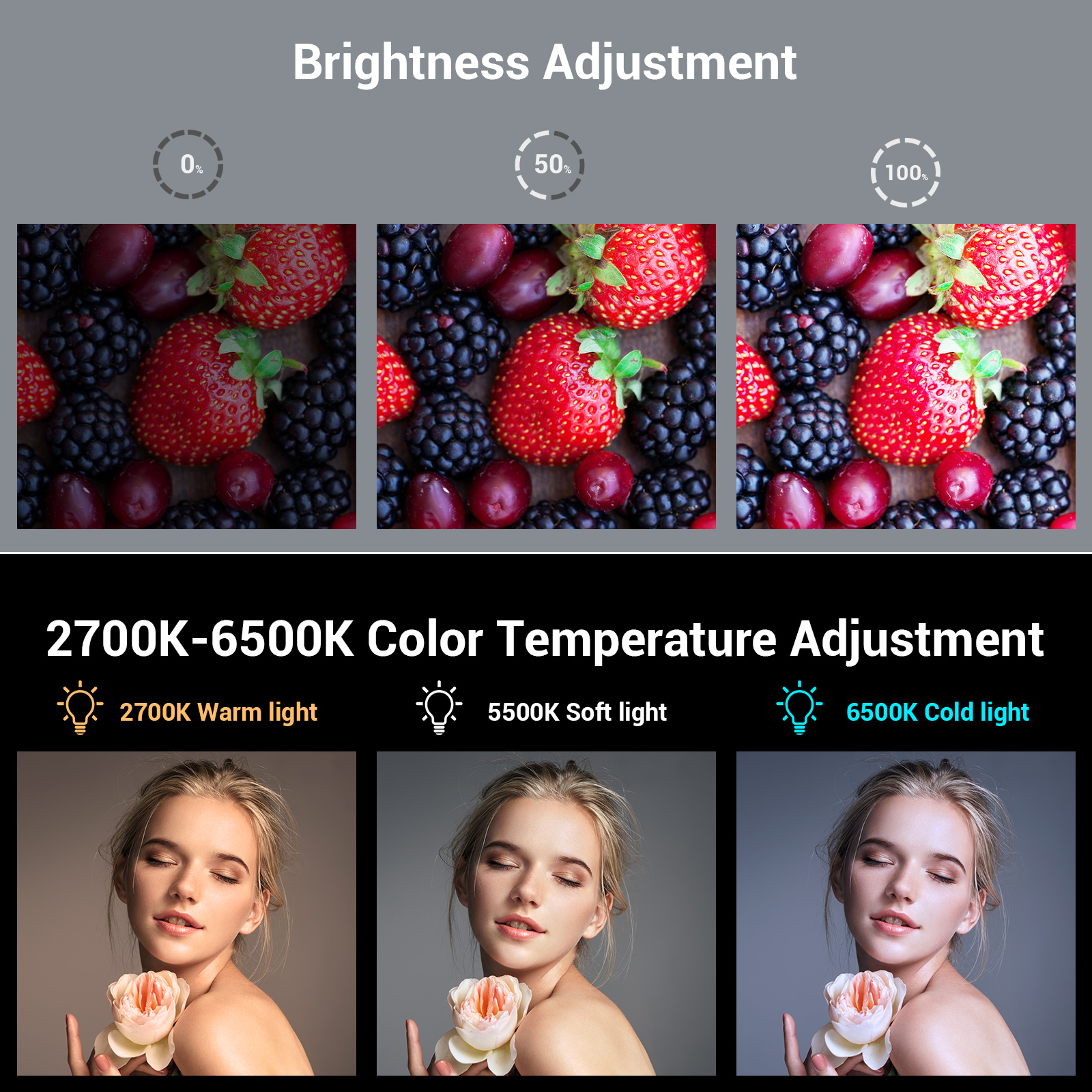 SmallRig Portable LED Video Ca - Photography Umbrella Lights avis et prix