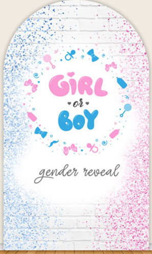 LS Gender Reveal Party Arch Co - Photography Questions avis et prix
